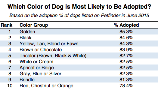 What Kinds of Pets Get Adopted?