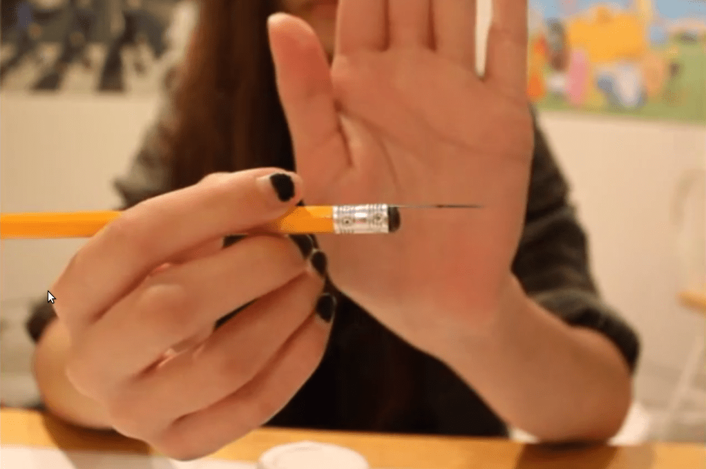 The Biology Teacher With a DIY Tattoo Kit Business