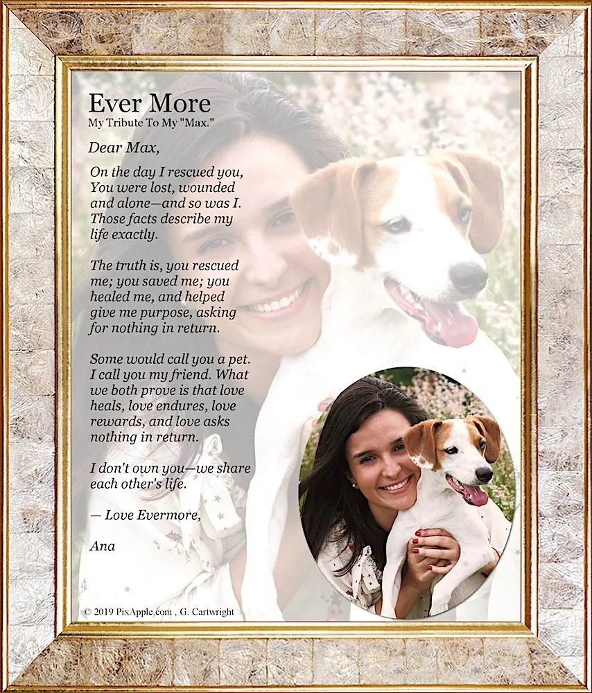 'Ever More™' Pet Custom Portrait PixApple