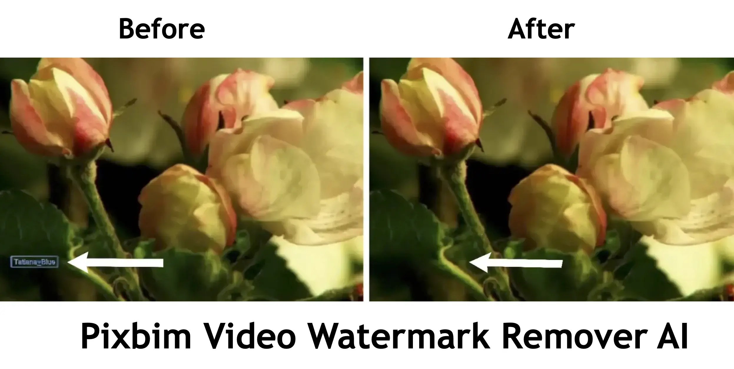Remover watermark from video without blur [Try for Free]