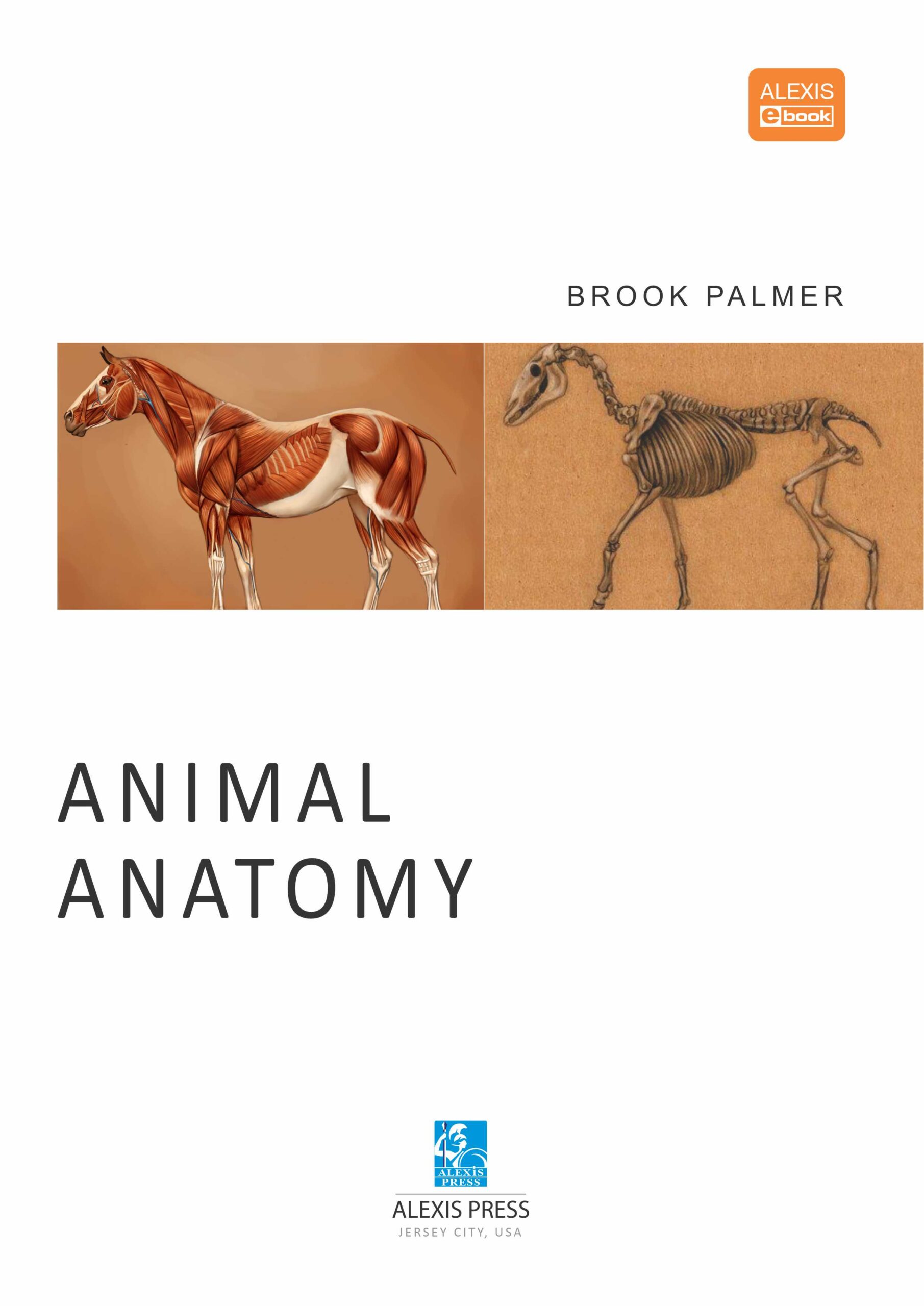 Animal Anatomy Pixel EdTech