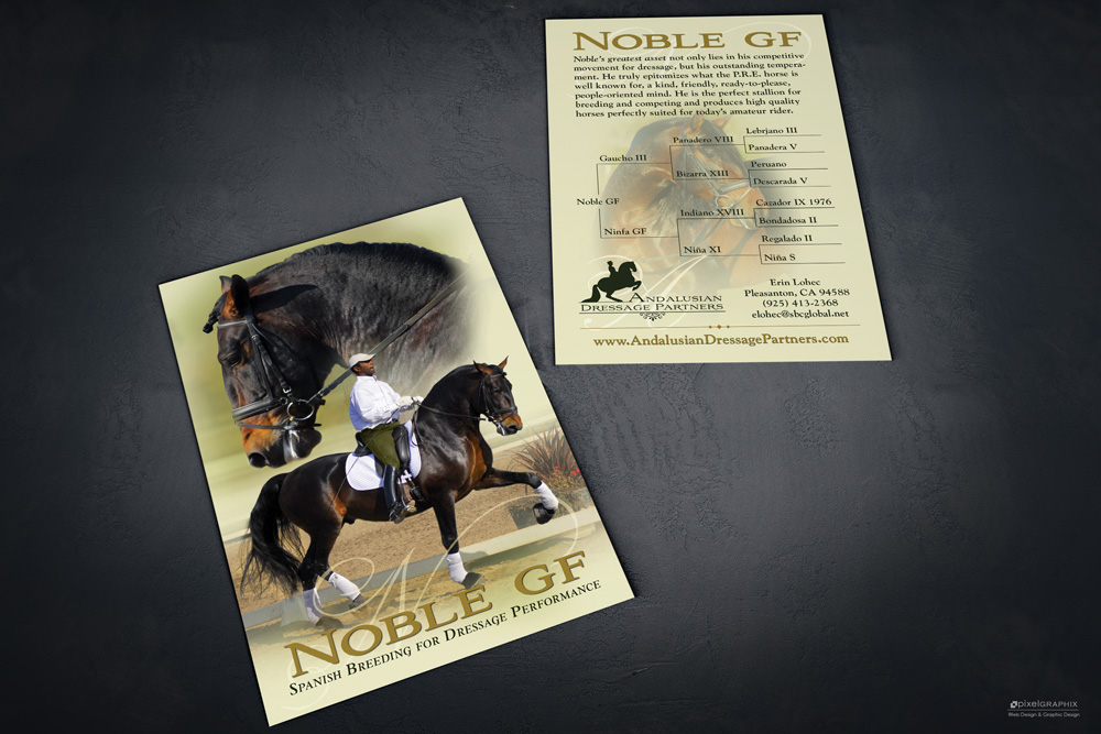 PixelGraphixDesign Stallion Card for Andalusian Dressage Partners