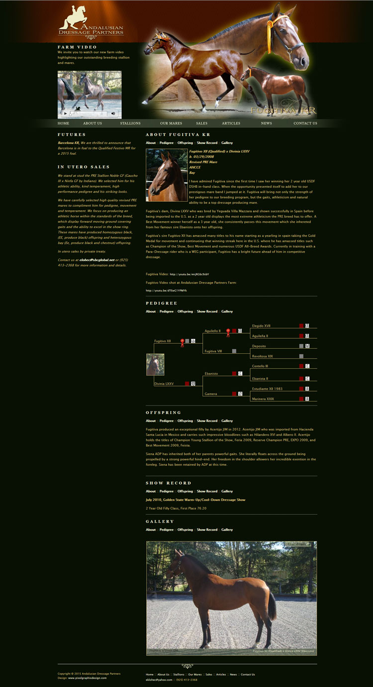 PixelGraphixDesign Andalusian Dressage Partners site