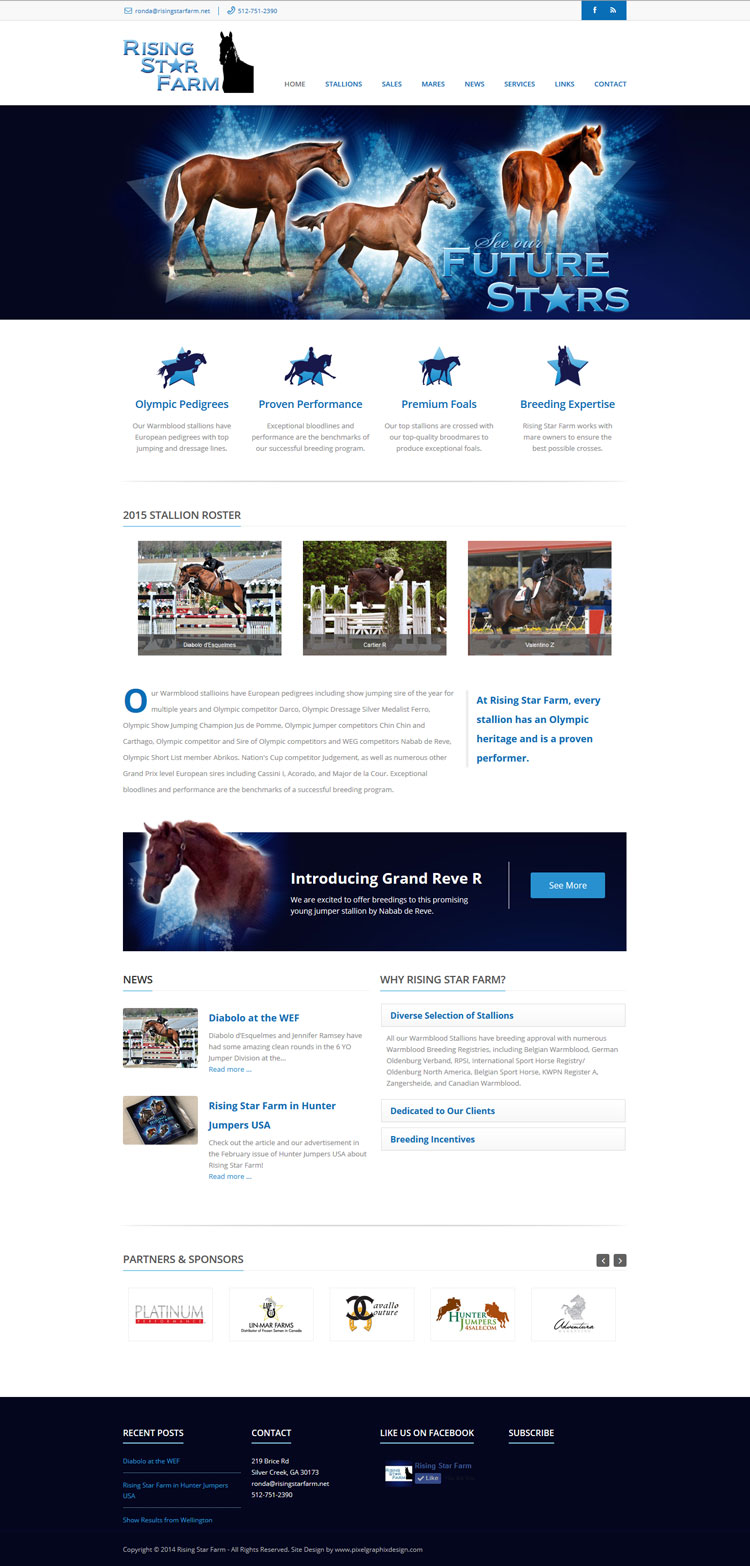 PixelGraphixDesign Rising Star Farm site