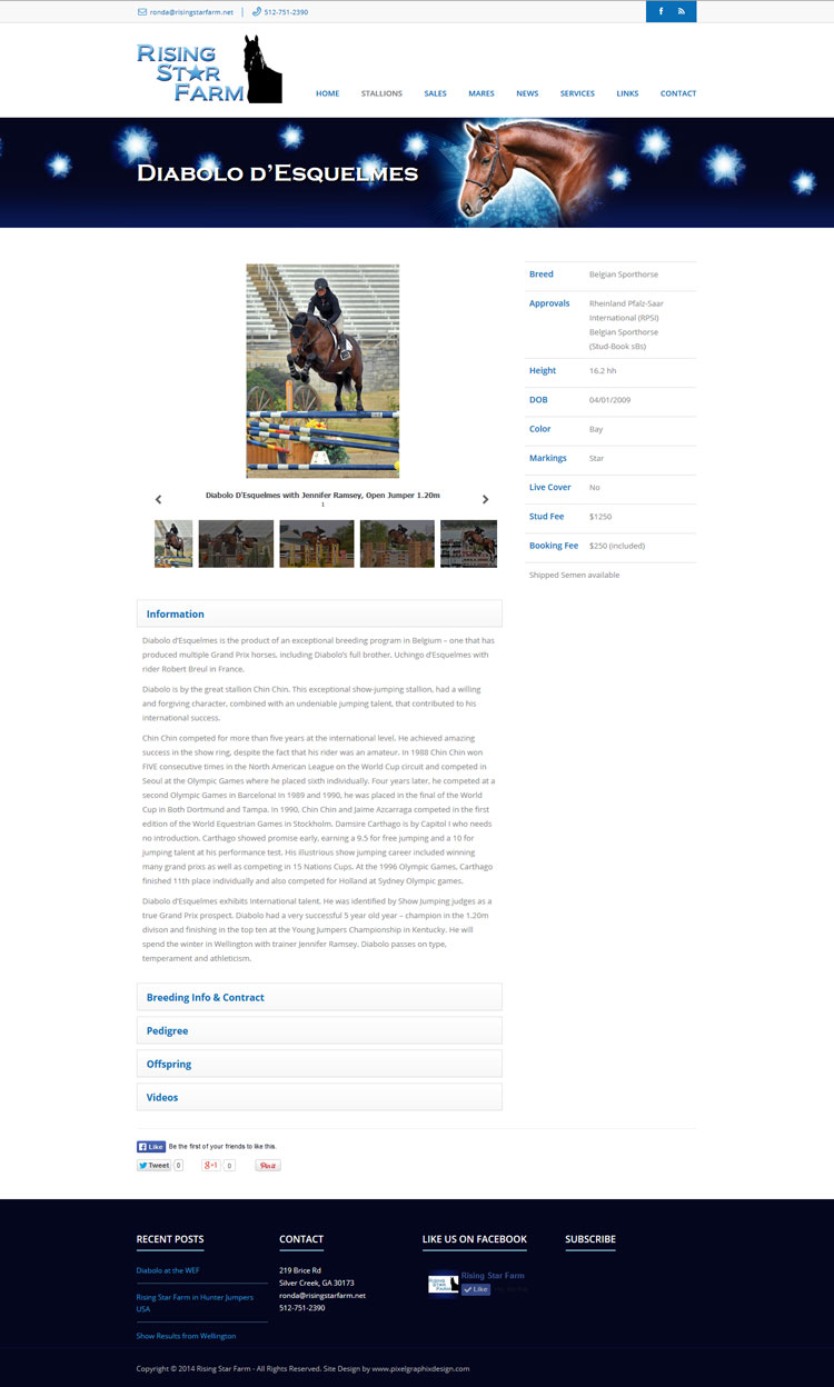 PixelGraphixDesign Rising Star Farm site