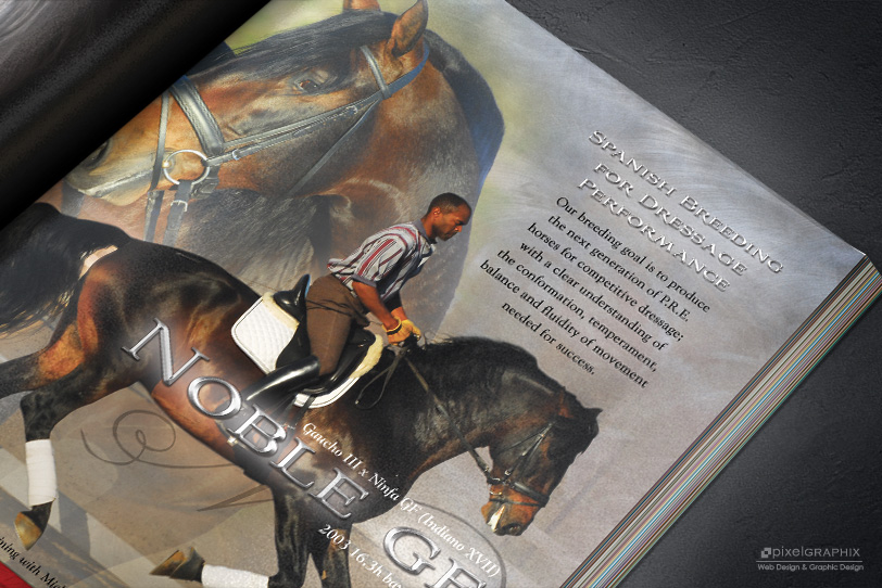 PixelGraphixDesign Ad for Andalusian Dressage Partners