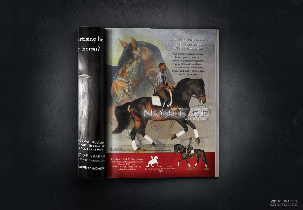PixelGraphixDesign Ad for Andalusian Dressage Partners