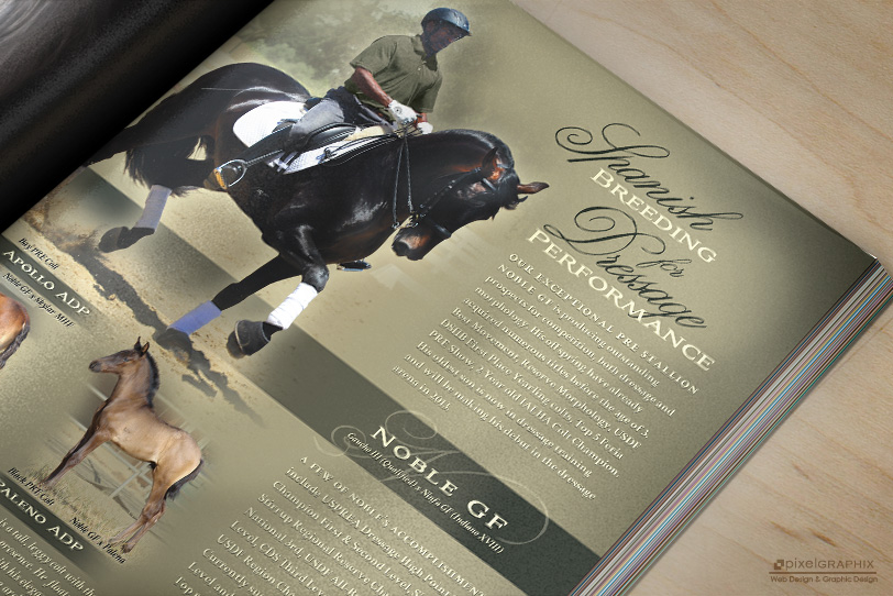 PixelGraphixDesign Ad for Andalusian Dressage Partners