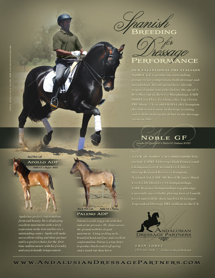 PixelGraphixDesign Ad for Andalusian Dressage Partners