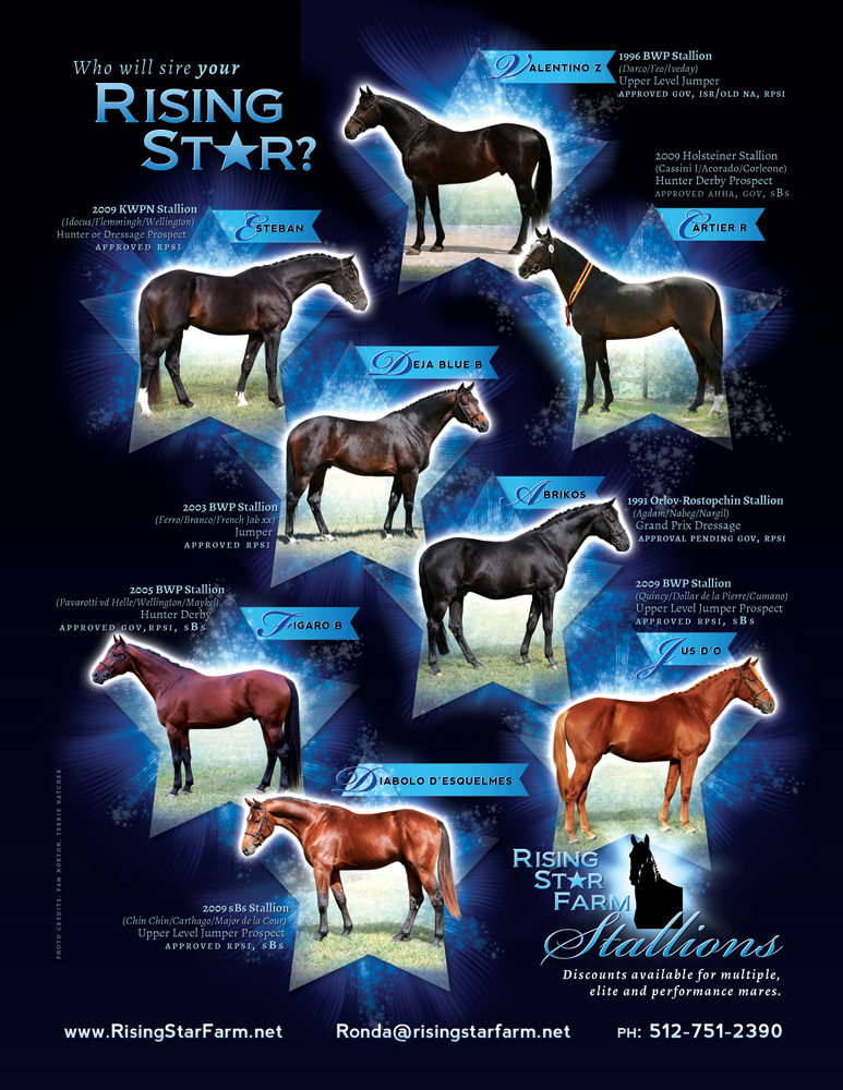 PixelGraphixDesign Ad for Rising Star Farm