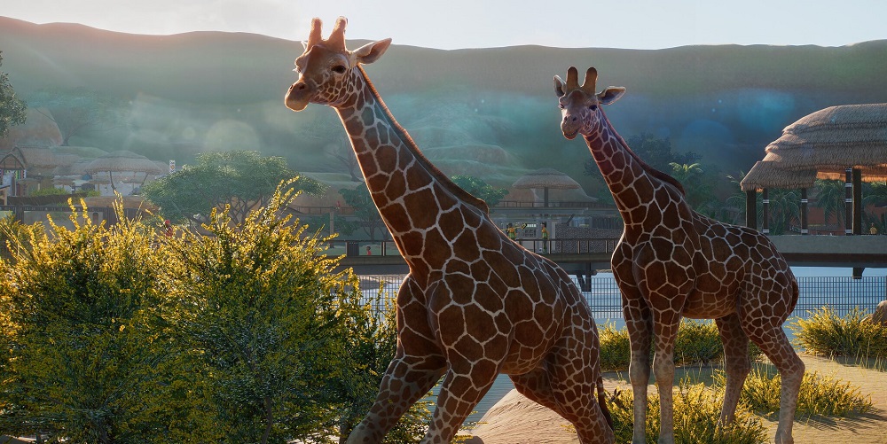 PC Gaming Show E3 2019 Zoo Release Date and Pre