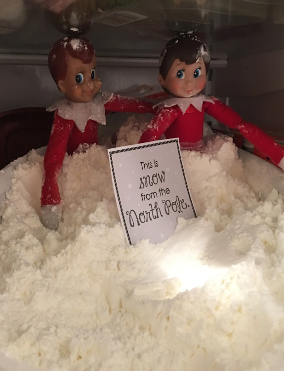 Fun Last Minute Elf onhe Shelf Ideas to Fill Your Kid with Joy!