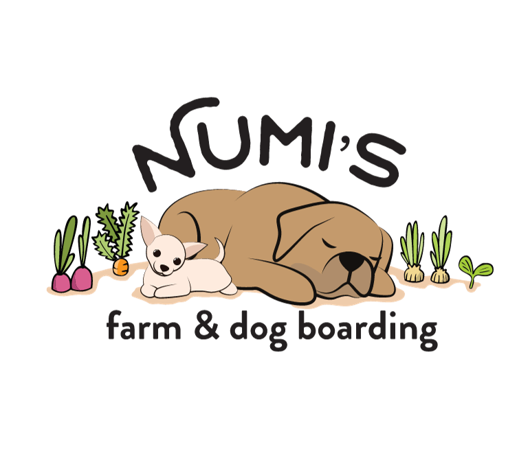Numi’s Farm & Dog Boarding Pixelstrike Creative