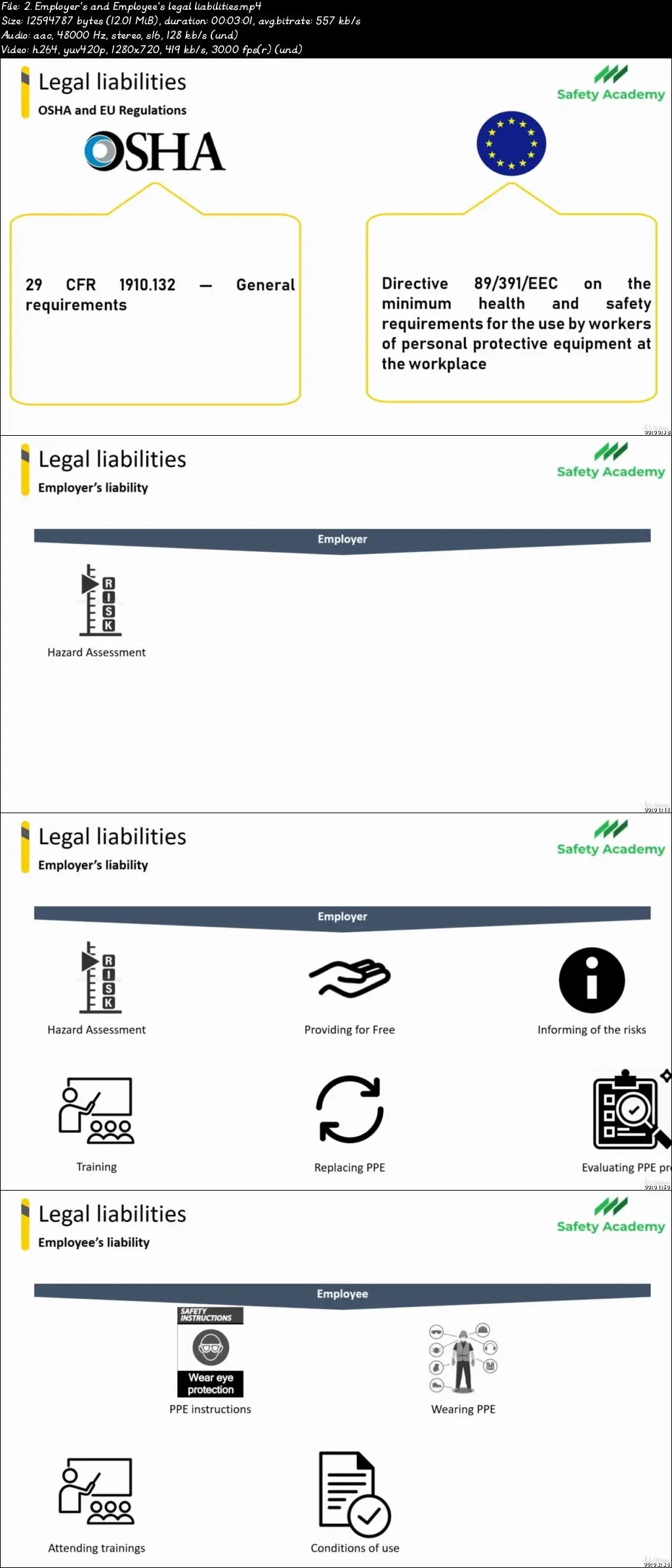 The complete Personal Protective Equipment training / AvaxHome