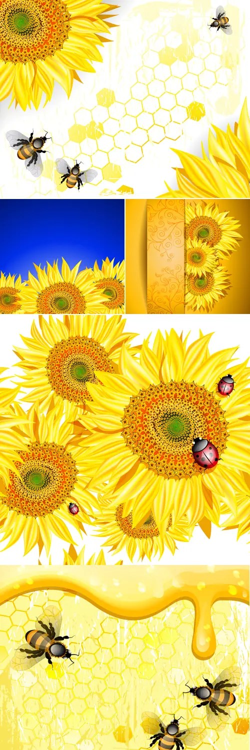 Sunflowers Backgrounds Vector / AvaxHome