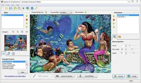 Desktoppaints Animated Screensaver Maker 4 1 0 Avaxhome