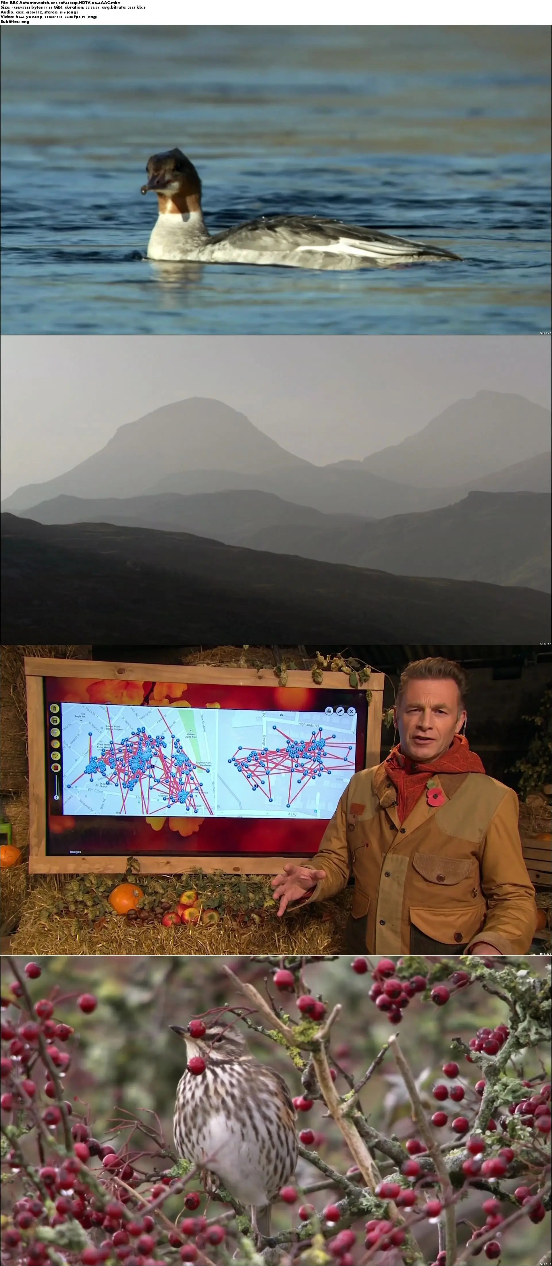 BBC Autumnwatch 2015 (2015) / AvaxHome BBC Autumnwatch 2015 (2015) / AvaxHome