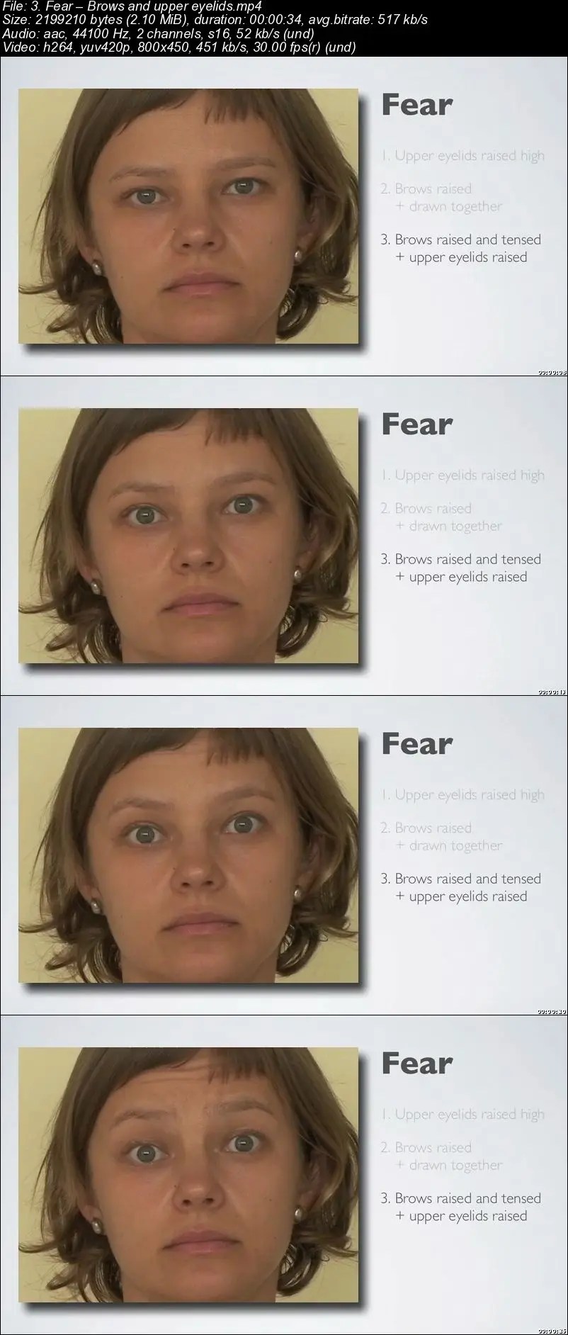 Micro Expressions Training & Body Language for Lie Detection / AvaxHome