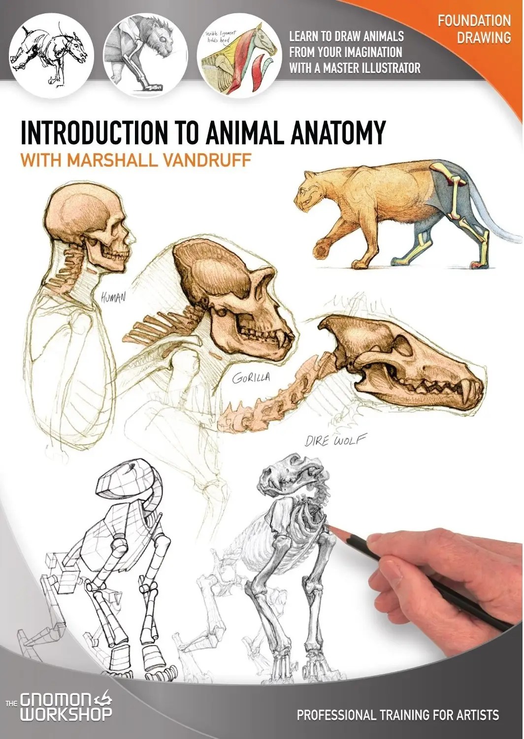 The Gnomon Introduction to Animal Anatomy