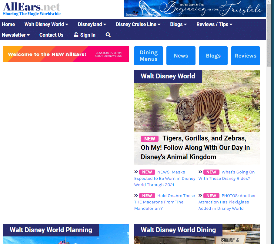 10 of the Best Disney World Blogs Pixie Dust and Passports