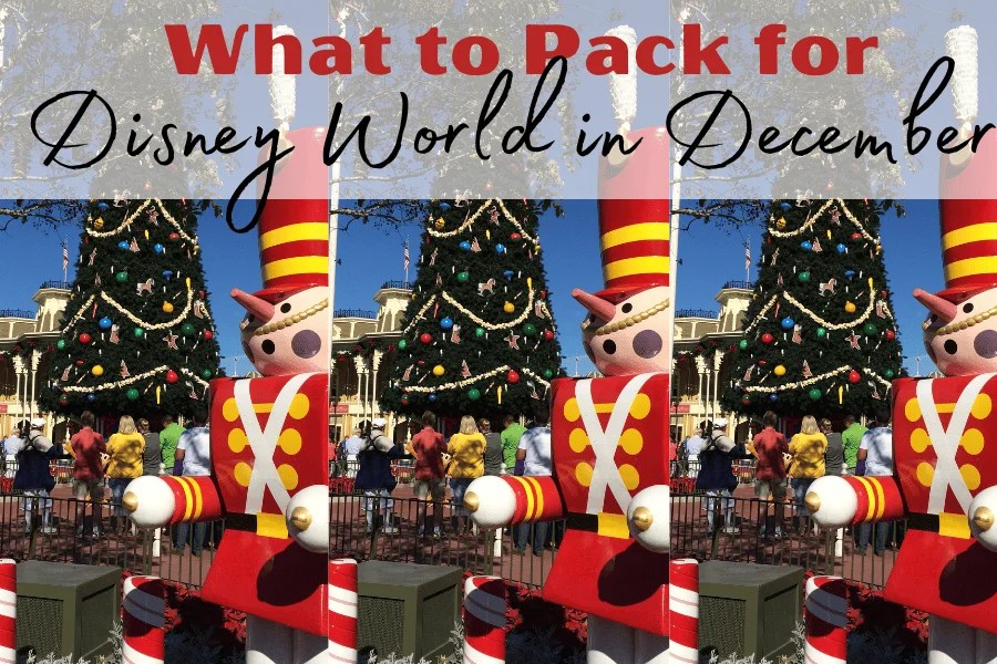 What to Pack for Disney World in December Pixie Packing Travel Co