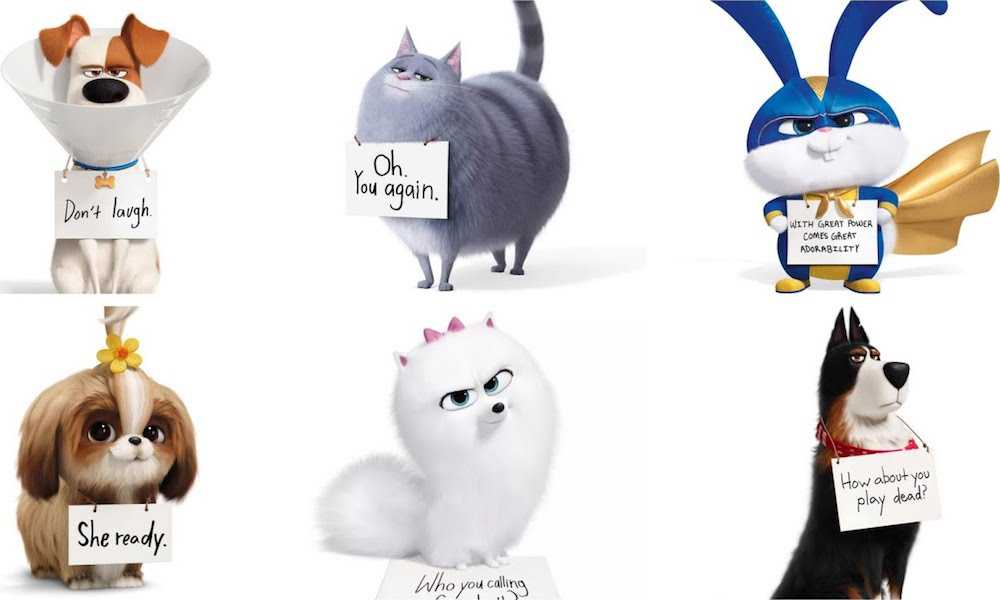 映画『ペット2』評価は?ネタバレ感想考察/もふもふ白犬が神に？かわいさ前作以上 映画評価ピクシーン