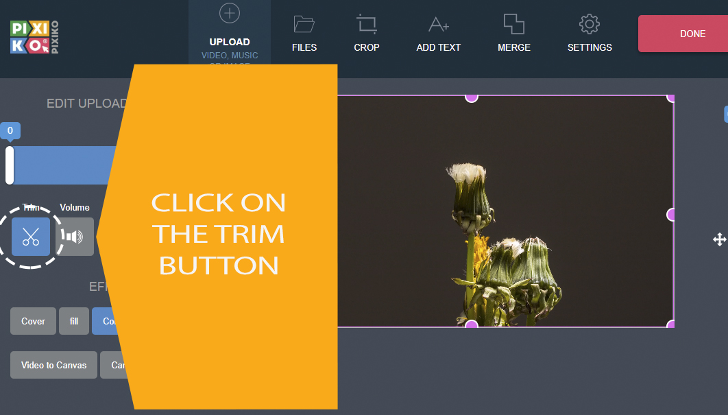 Pixiko 🪒 Cut Video Online Split video to any length