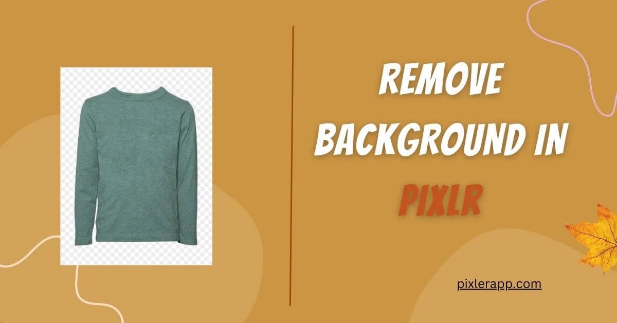 How To Remove Background in Pixlr? Pixlr Editor Learn Free Photo