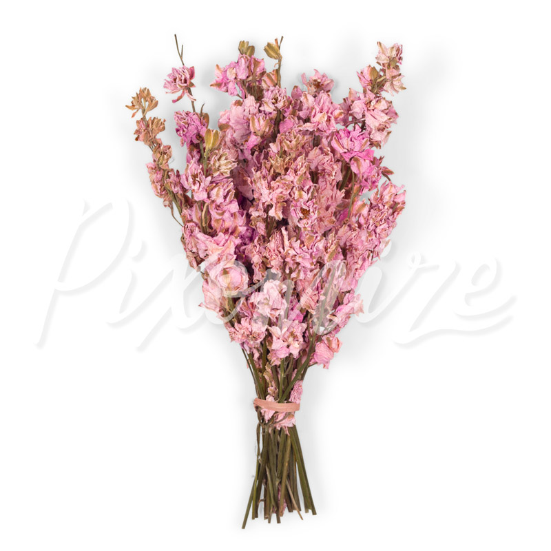 Pink Dried Flower Bunch