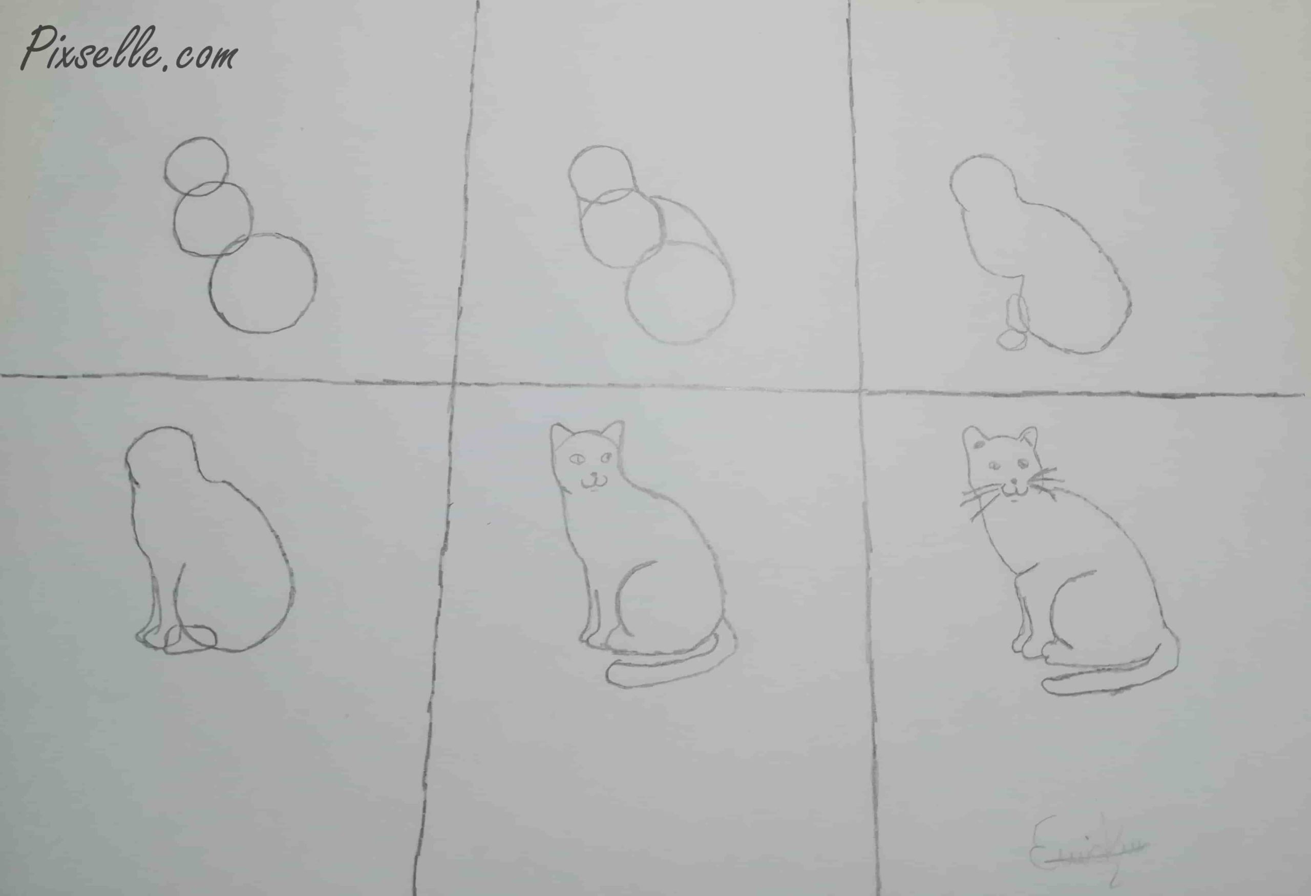 Adım Adım Kedi Çizimi Pixselle