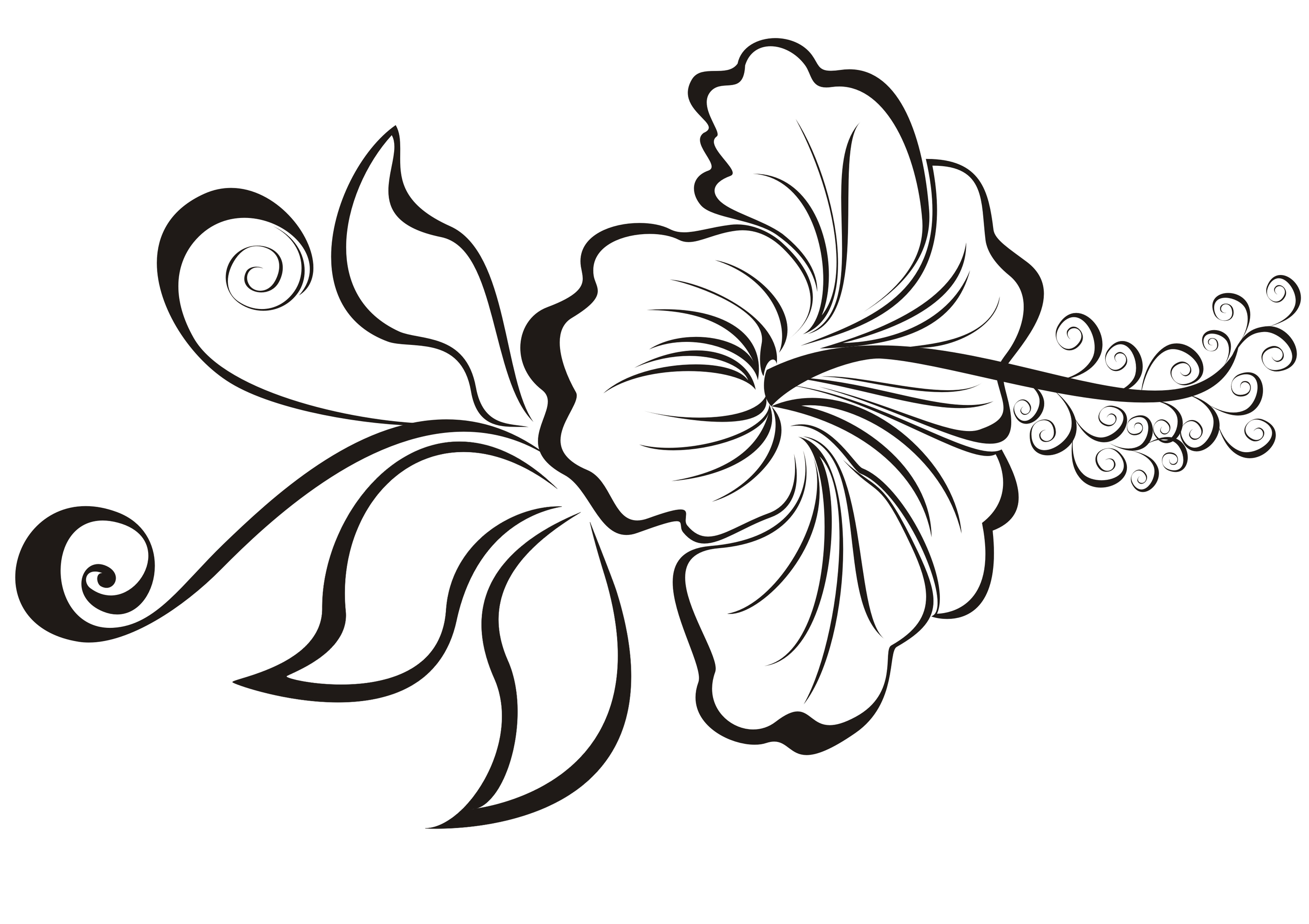 Hawaiian Flower Clip Art Outline
