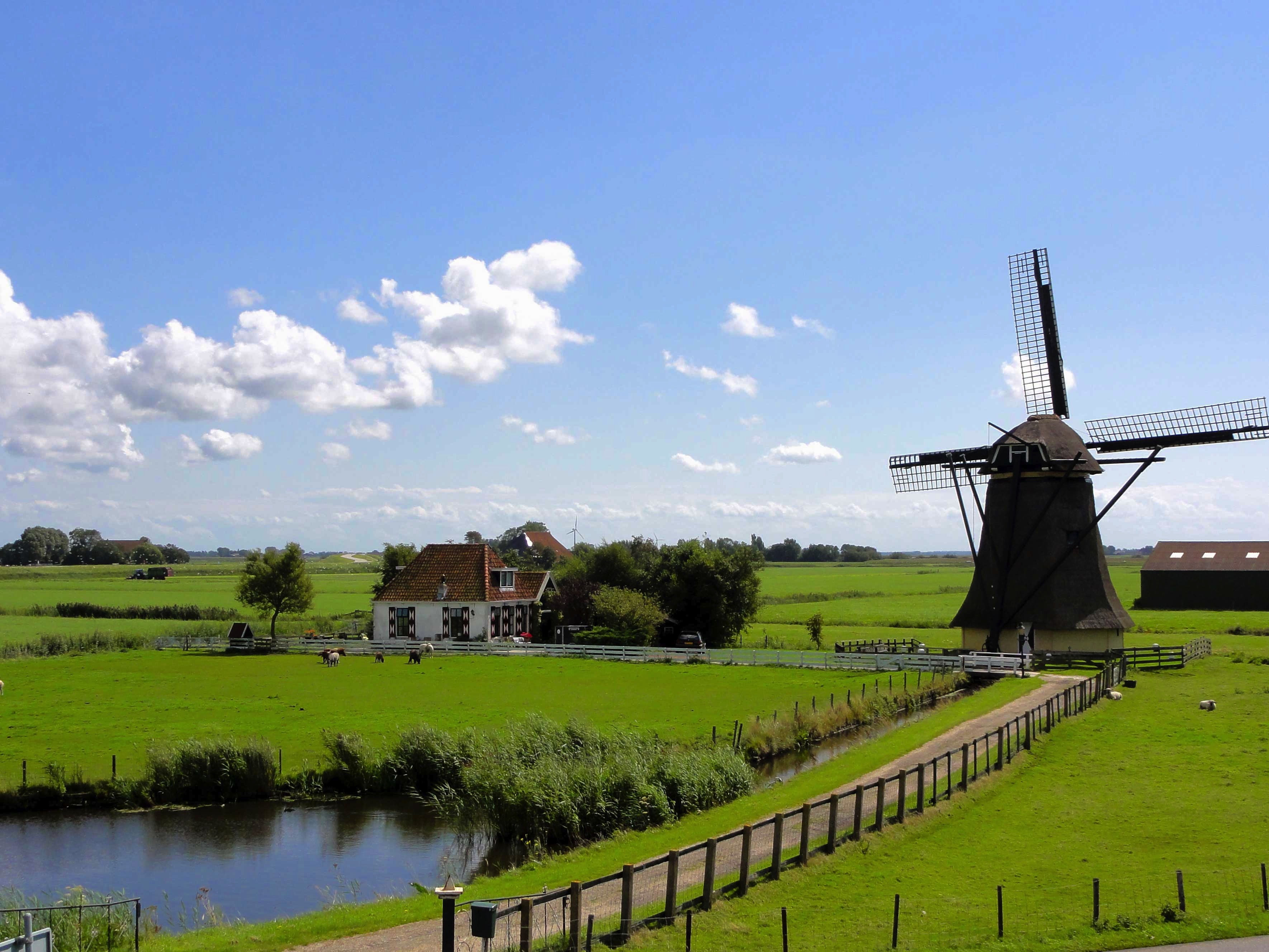 Scenic spring countryside landscape with windmill, netherlands free image