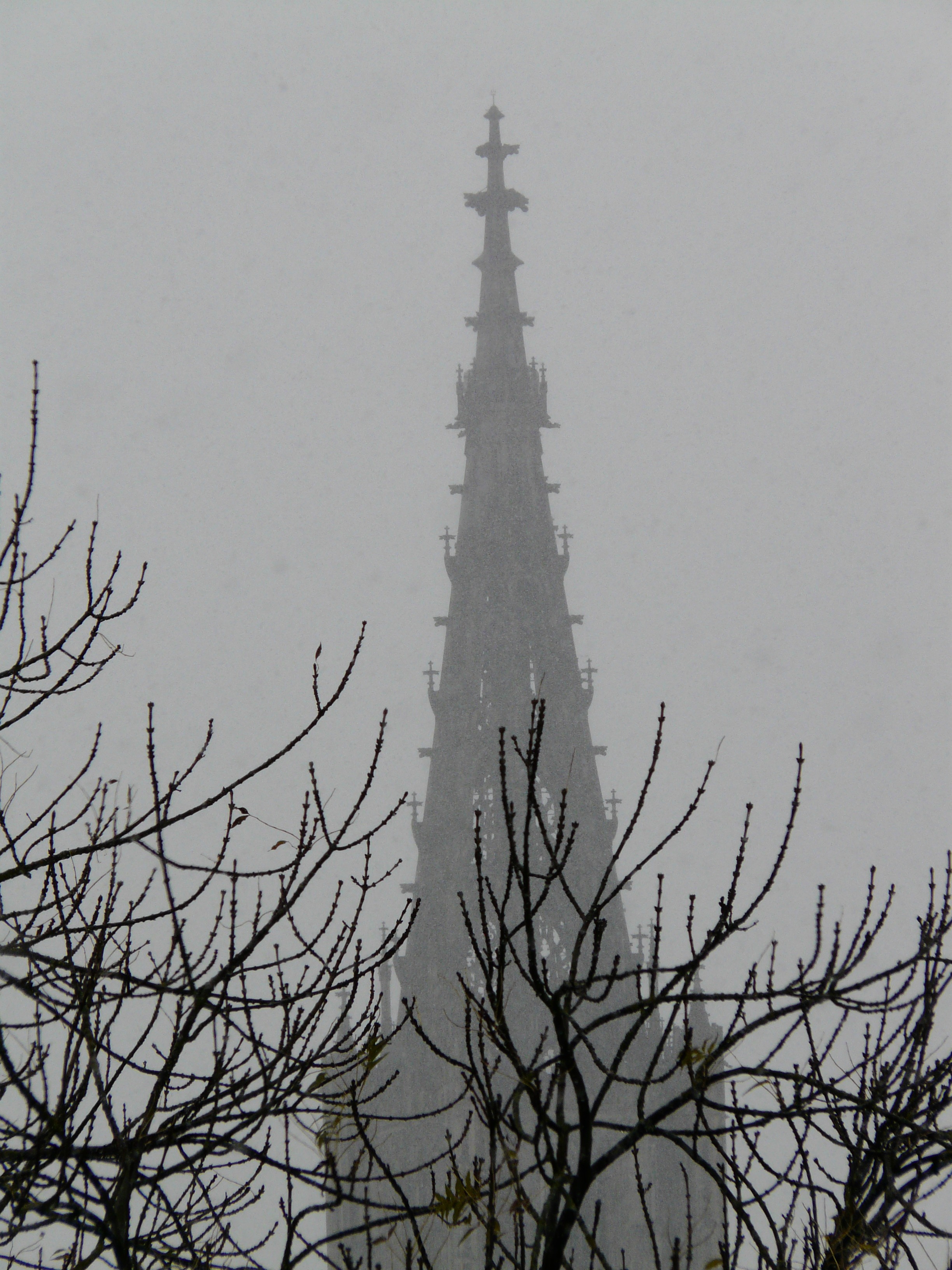 Spire of ulm cathedral at foggy winter sky, germany, munich free image