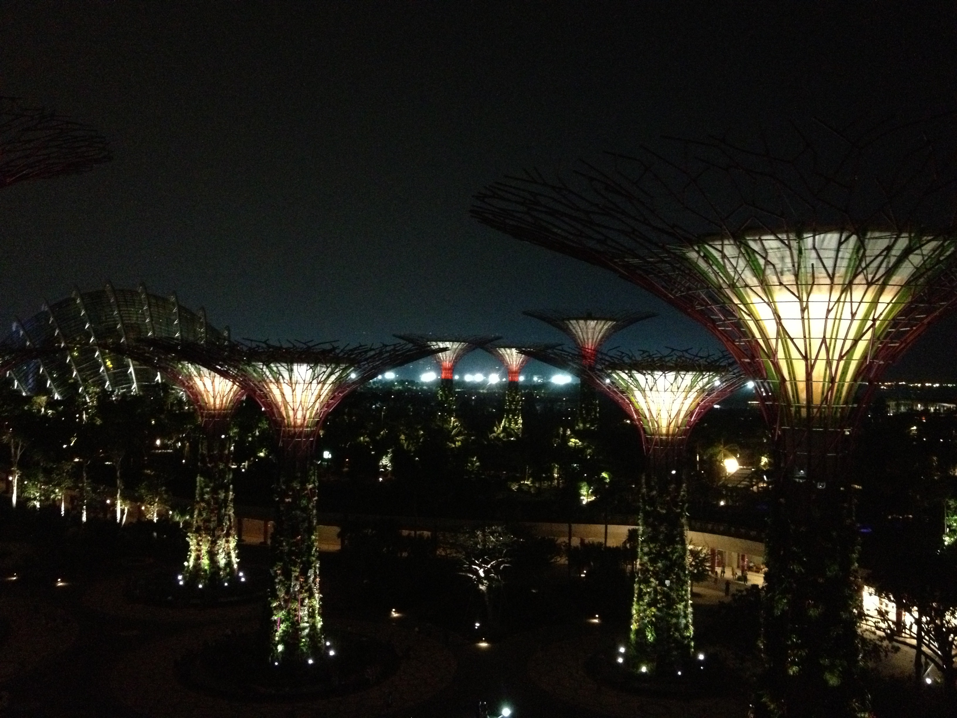 Gardens by the Bay, illuminated giant metal trees in night city