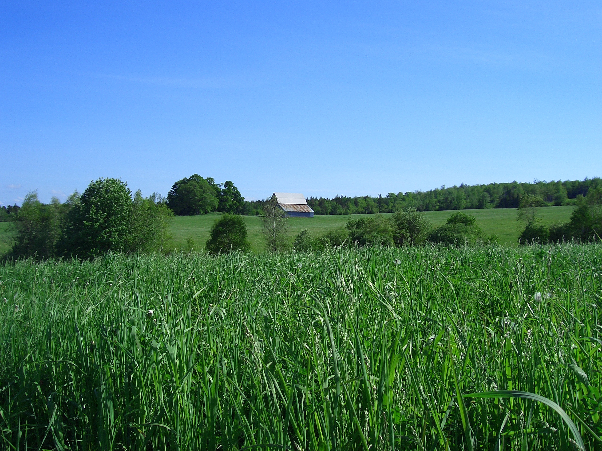 Pasture in nova scotia free image download