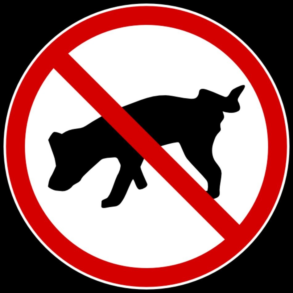 Signs No Dog Pee Clip Art free image download