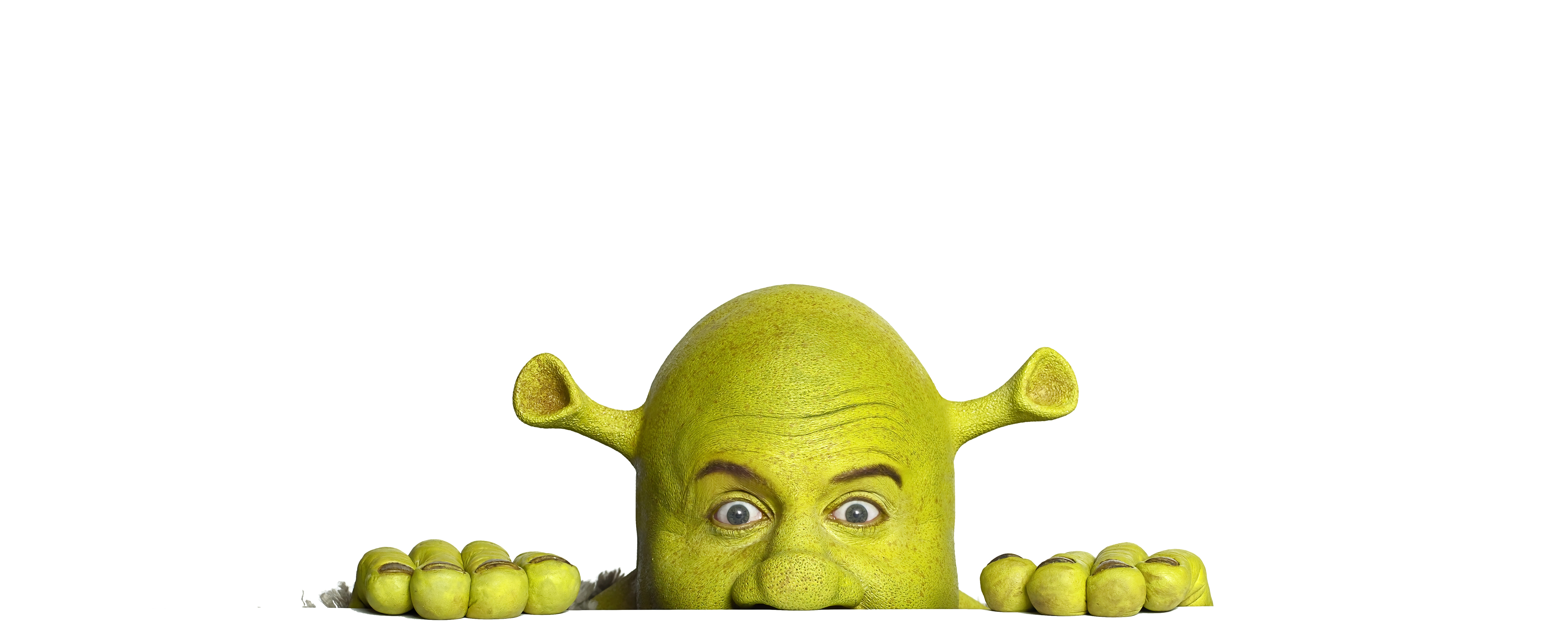 A man in a mask Shrek head free image download