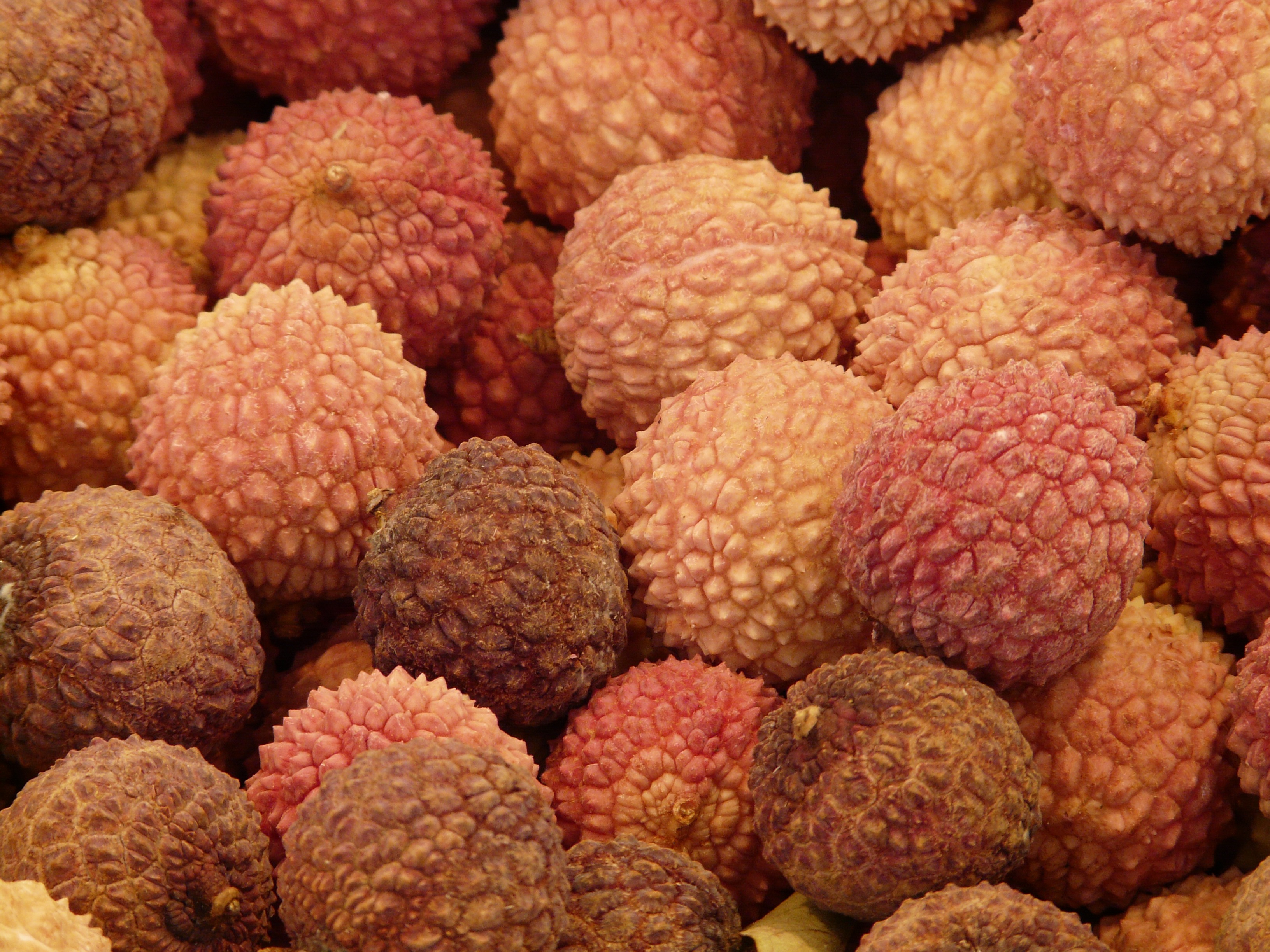 Lychee is a chinese hazelnut free image download