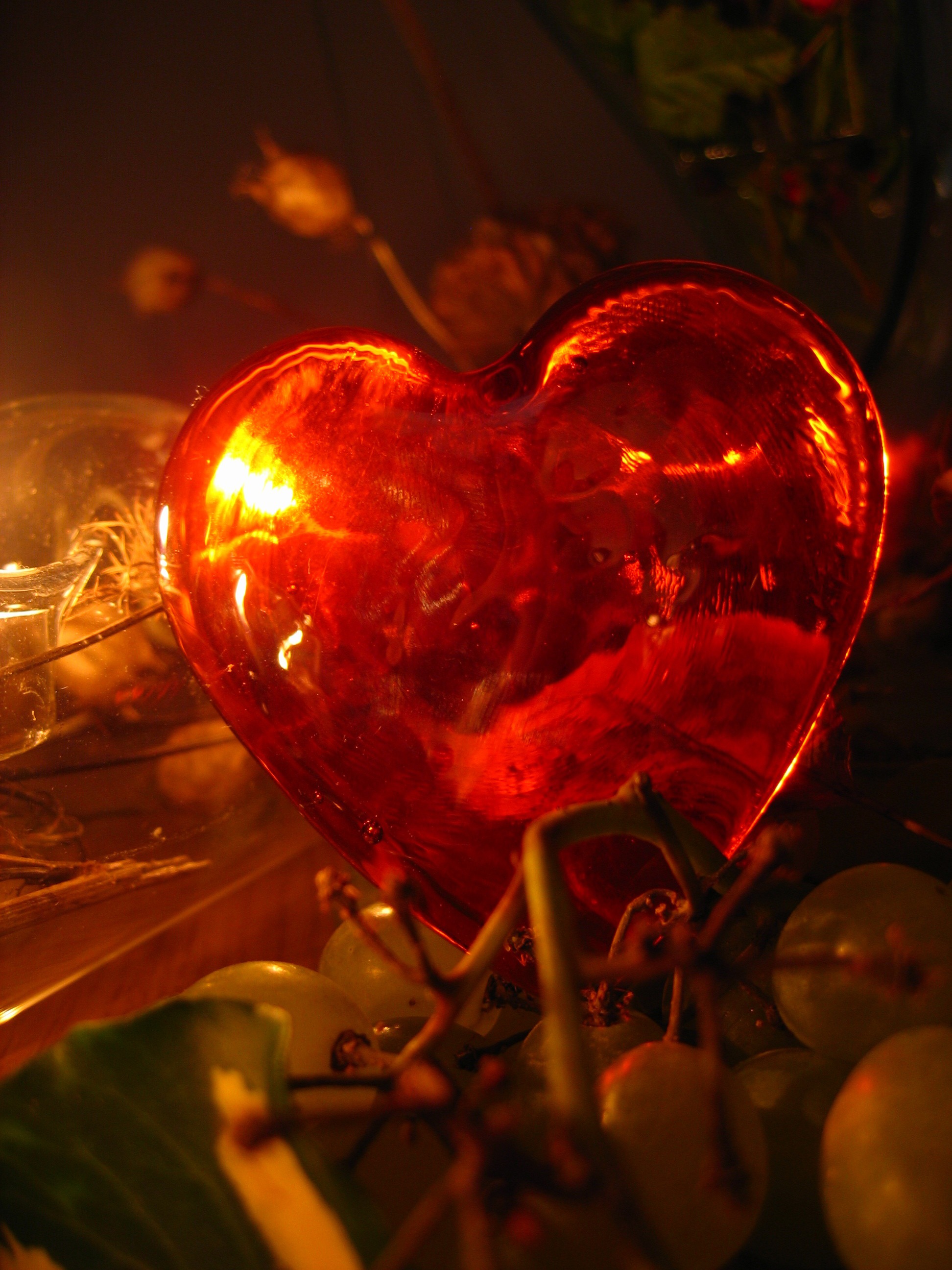 Romantic evening with lightened candles free image download