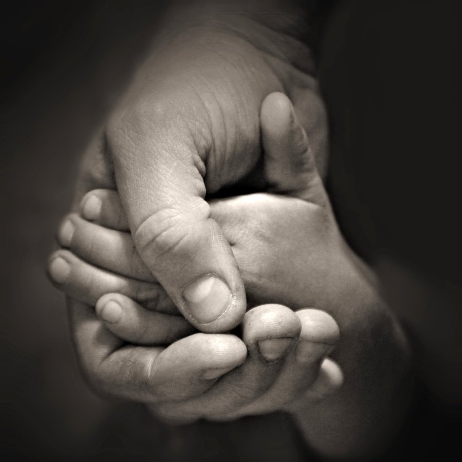 Hands holding free image download
