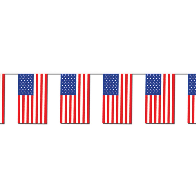 American Flag Banner N2 free image download