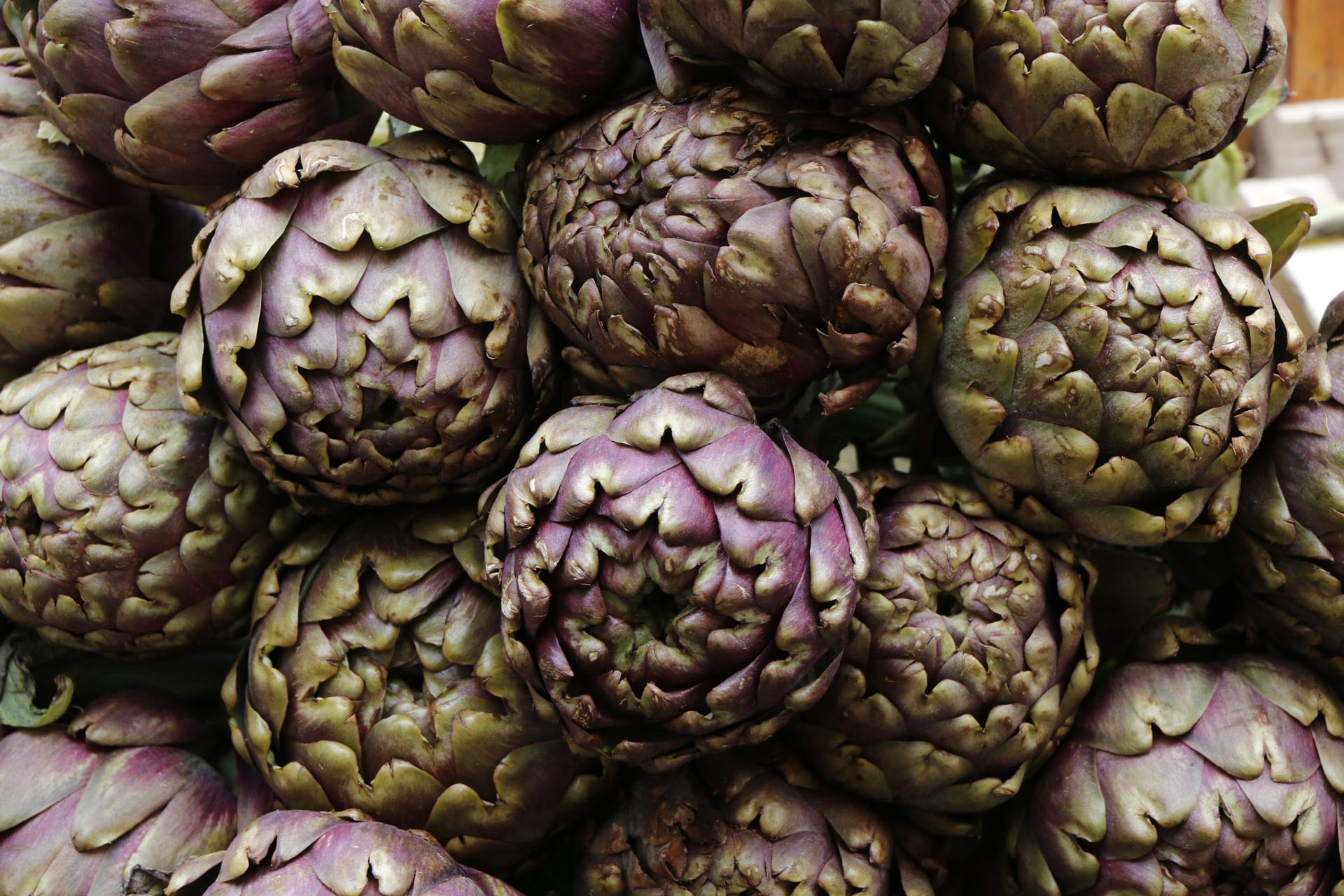 Healthy artichokes free image download