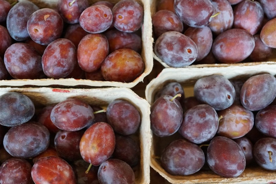 Plums healthy delicious fruit eat in boxes free image download