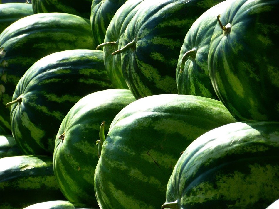 Melons fruit free image download