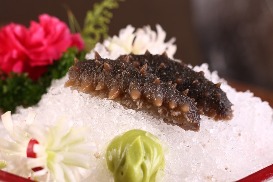 Fresh sea cucumber free image download