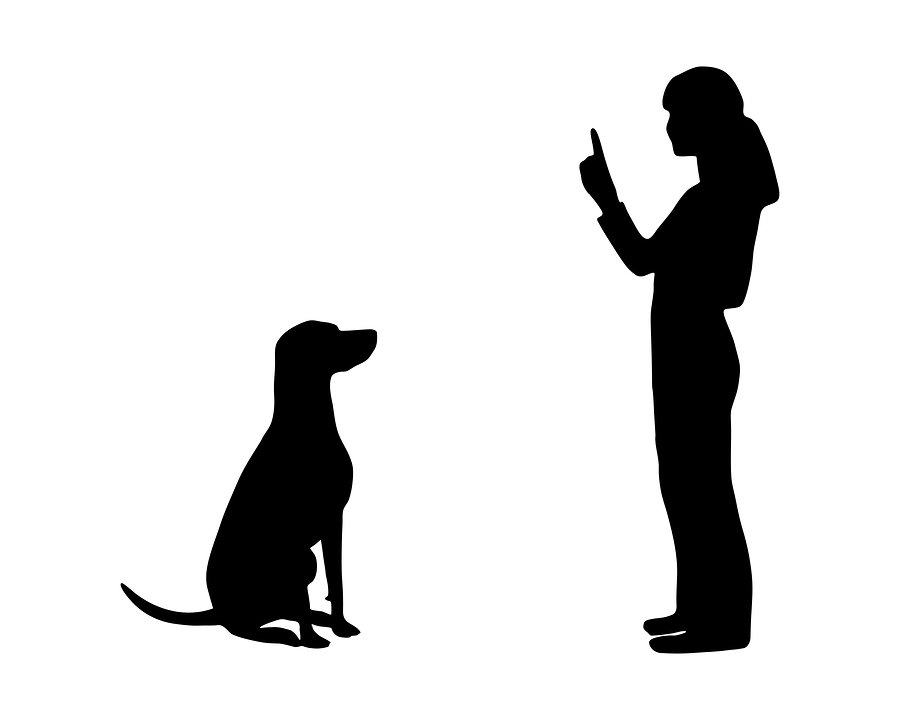 Dog Training Clip Art N13 free image download