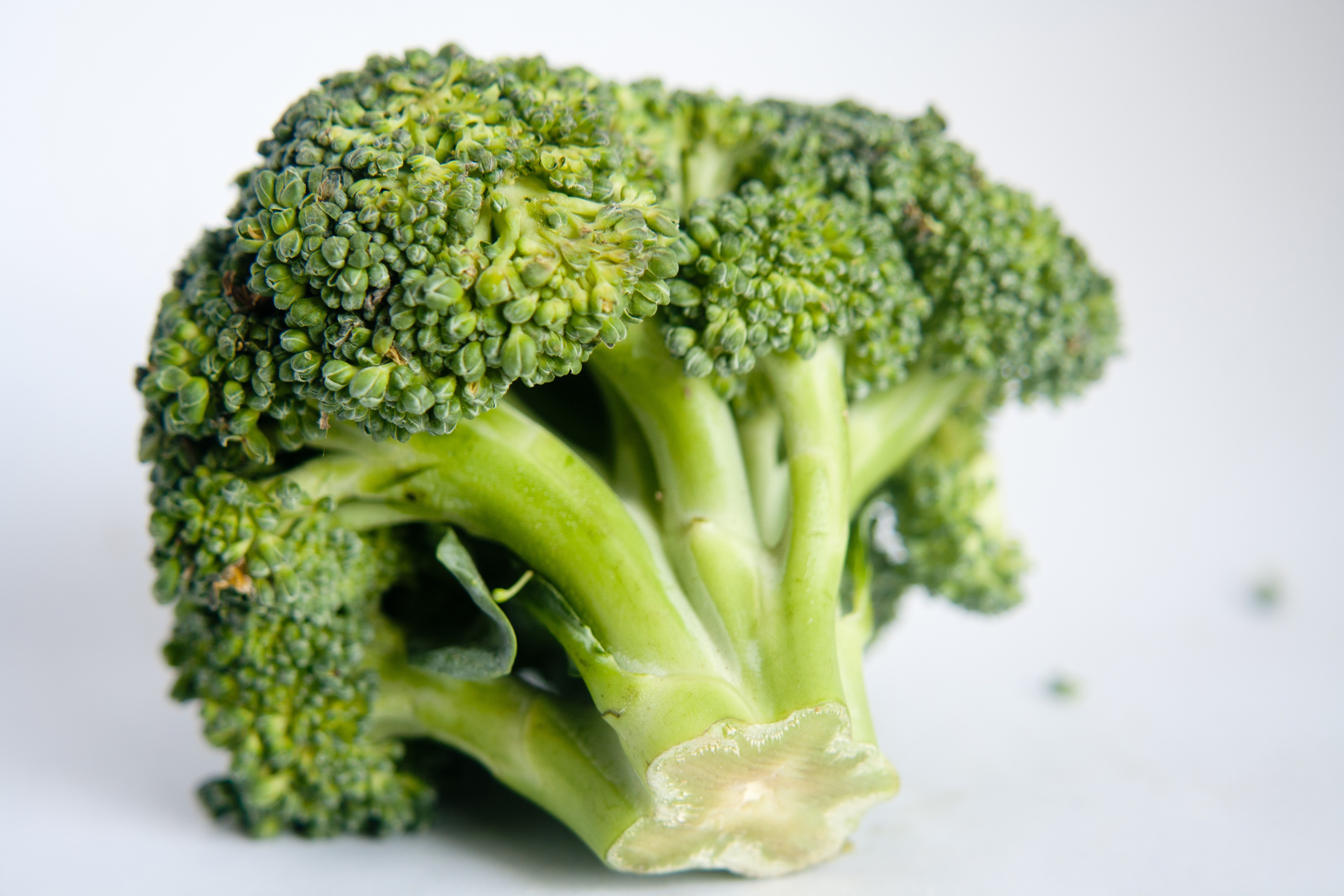 Green healthy fresh broccoli free image download