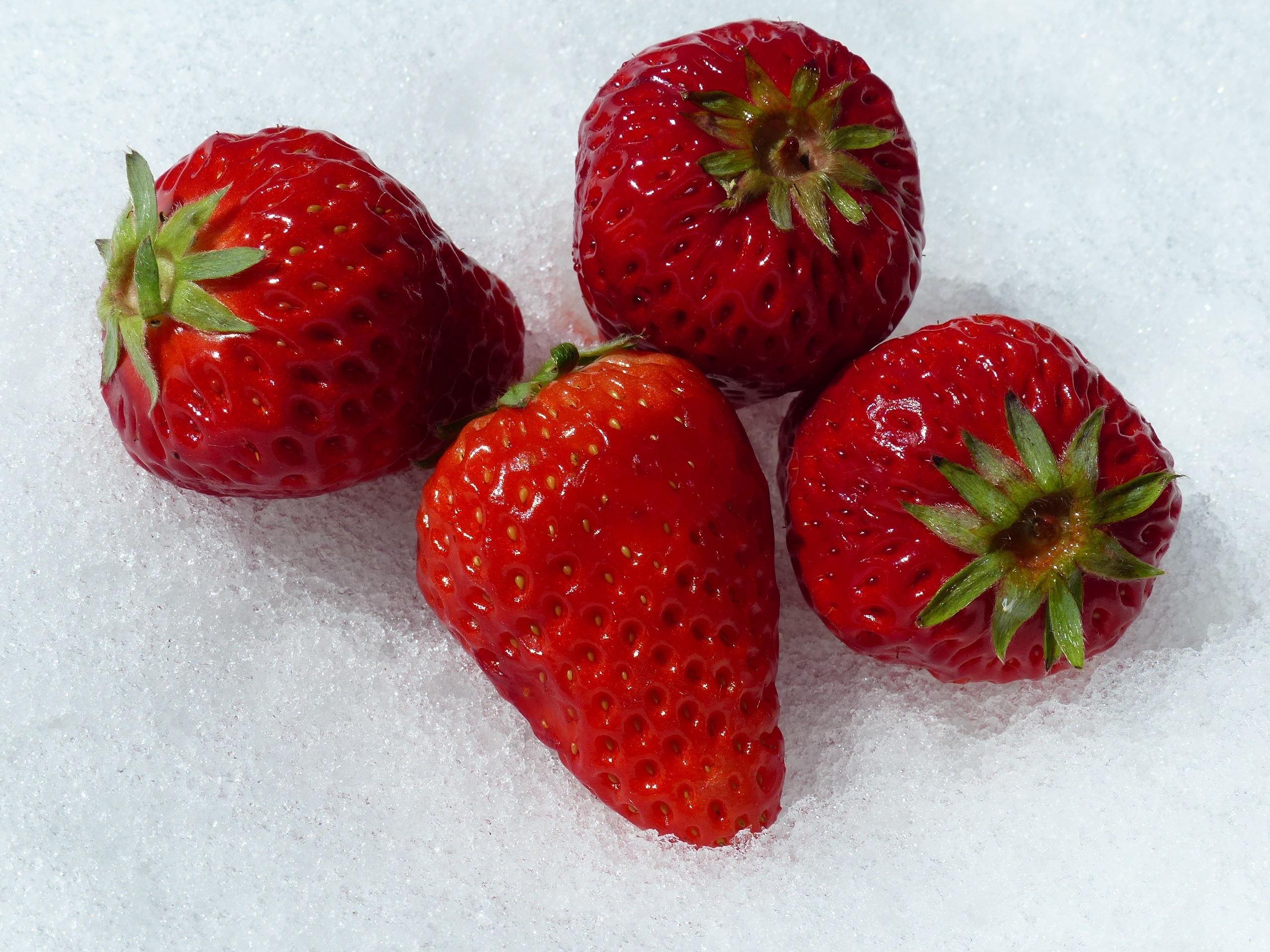 Four red strawberries on snow free image download