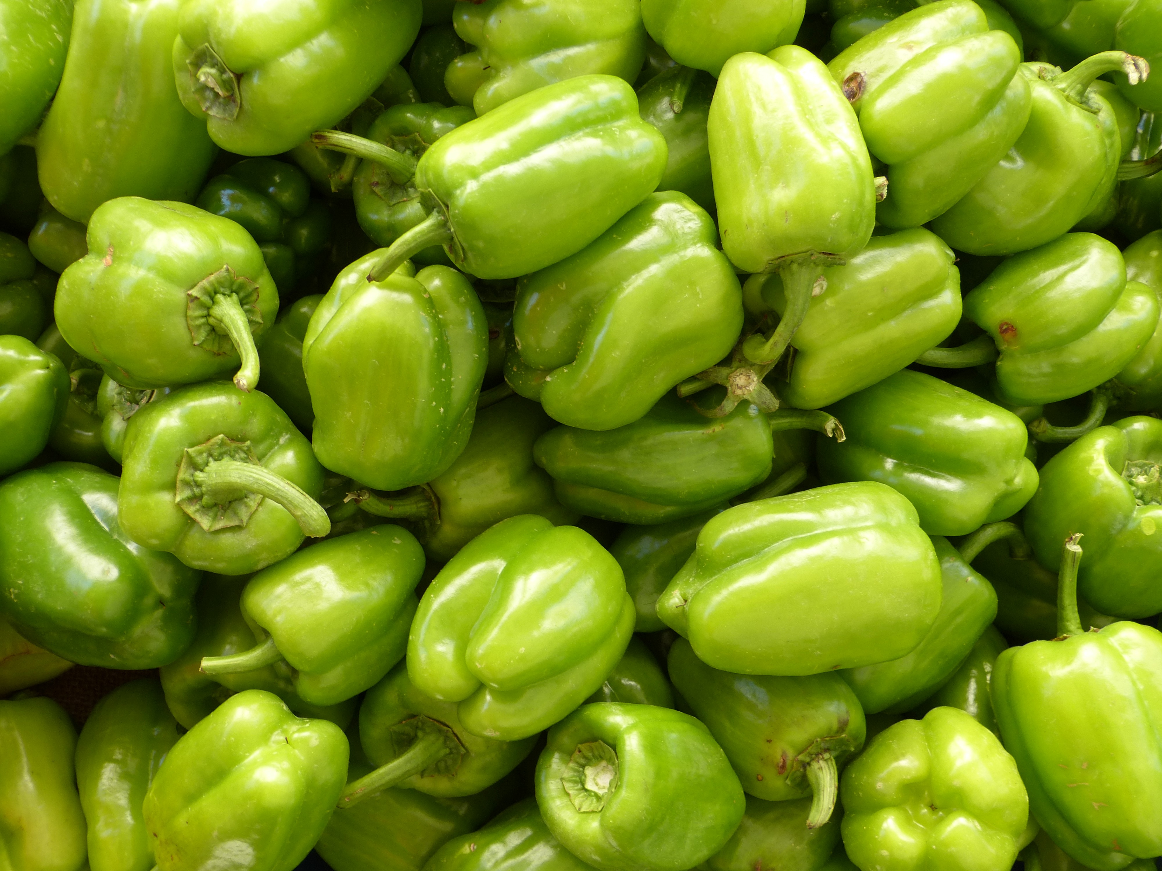 Green pepper harvest free image download