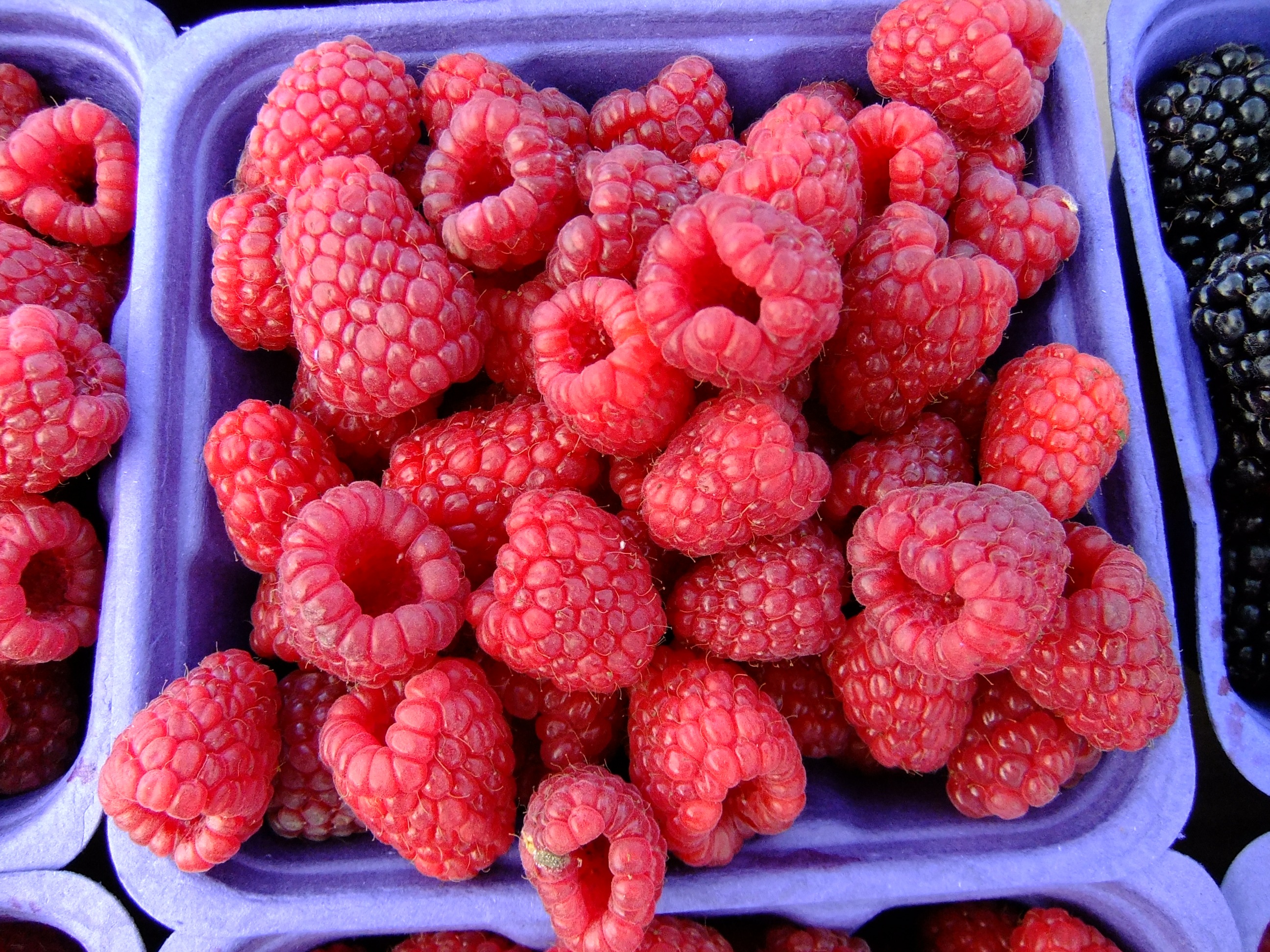 Raspberries market fruit free image download